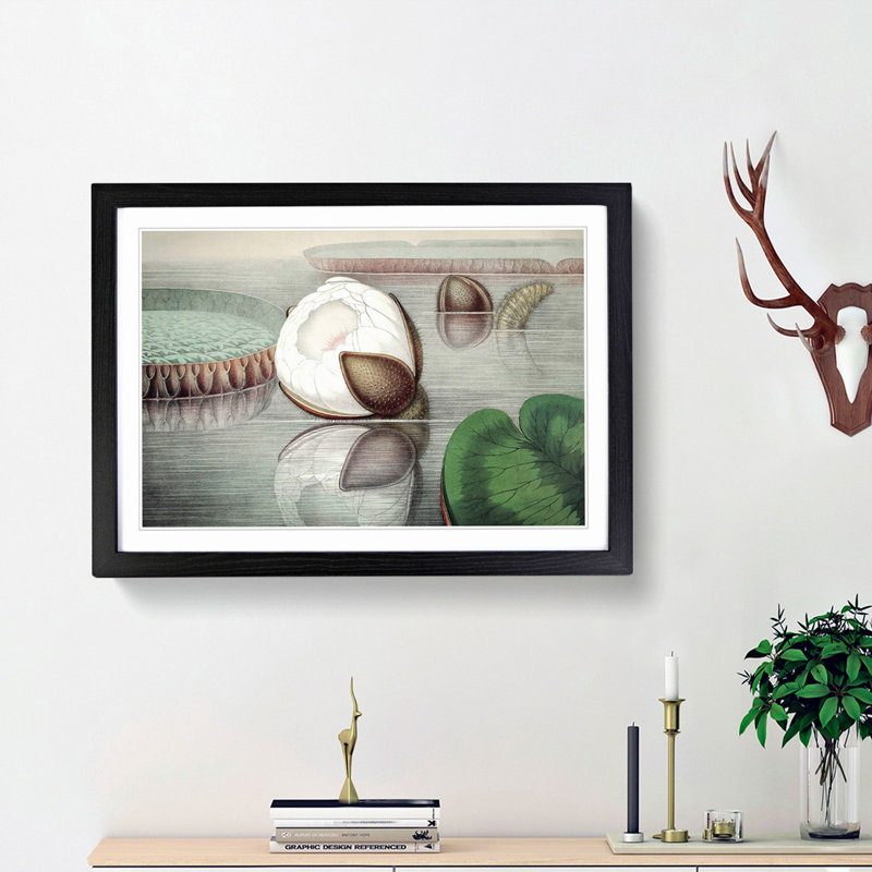 Gigantic Water Lily Opening by William Sharp - Picture Frame Painting Print, Black Framed, 48cm H x 65cm W x 2cm D