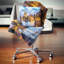 Coussin Schafer Landscape Notre Dame-822512596-822485327