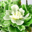 Fleurs artificielles en soie Tech Tech