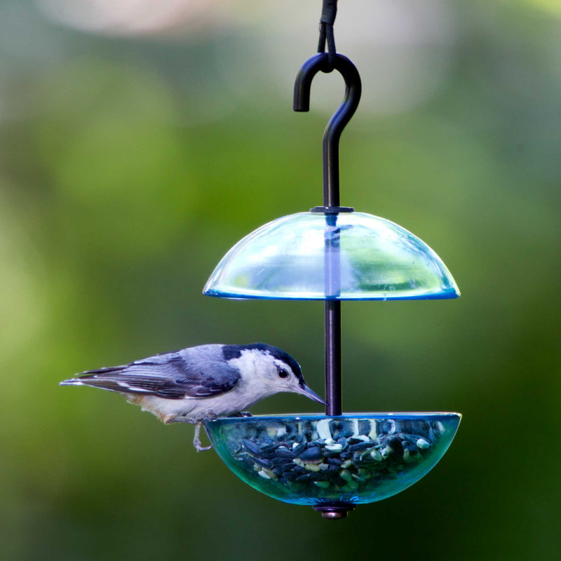 Hanging Decorative Bird Feeder, Clear