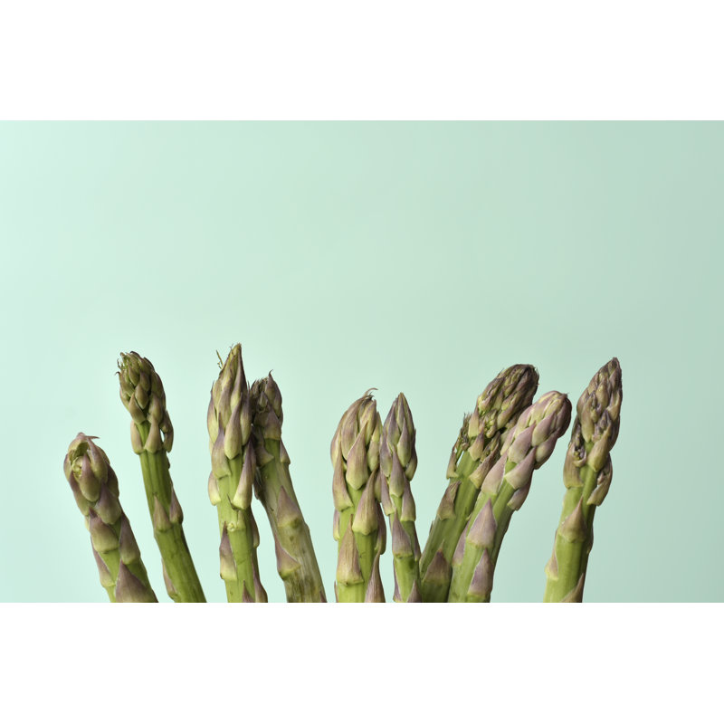 Asparagus by Nito100 - Wrapped Canvas Print, 51cm H x 76cm W x 3.8cm D