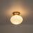 1-light Oval Glass Semi Flush Mount