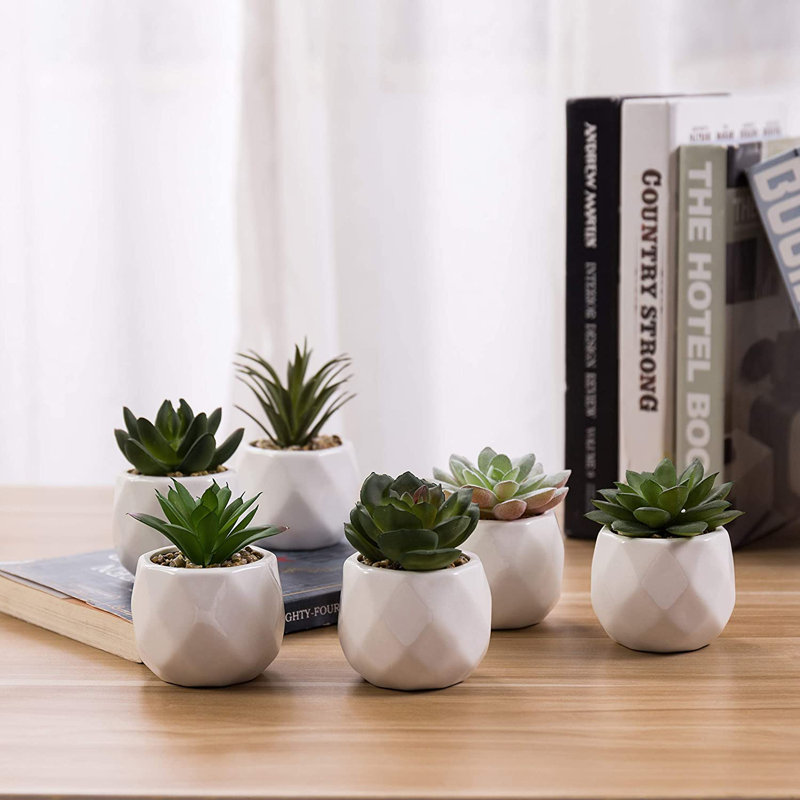 Jarema 4'' Faux Succulent Plant in Ceramic Pot (Set of 6)