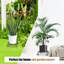 Plant Stand - Set of 3
