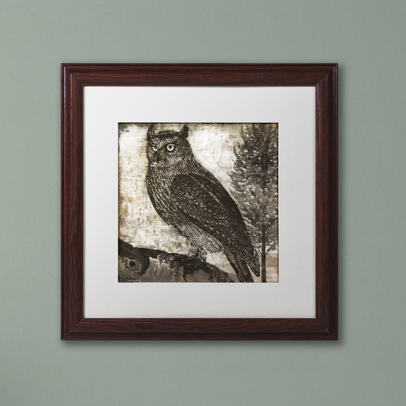 Jadaya «Owl 2» par Color Bakery, impression encadrée, Blanc, H 16 po x l 16 po x P 0,5 po, Toile avec cadre en bouleau