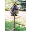 Redorm Roosting Bar