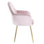 Taraji 46cm H Velvet Upholstered Metal Armchair-113191230-113191229