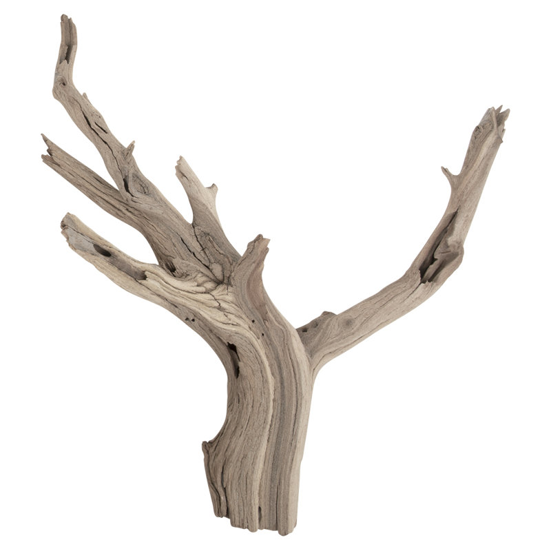 Adolfa Landscape & Nature Figurines & Sculptures, 24" W