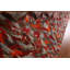 Tapis abstrait Gabbeh Kashkoli 7 x 10
