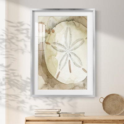 Dry Sand Dollar II - impression encadrée