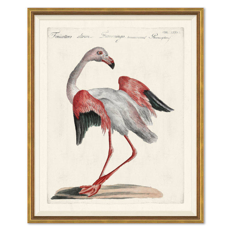 «Odd Birds», peinture