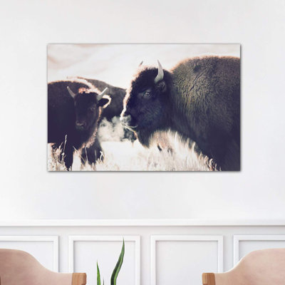 " Buffalo " by Sisi & Seb