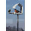 Metal Pole Decorative Bird Feeder