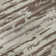 Premium Machine Washable Prisco Brown Rug