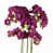 Purple is out of stock