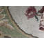 Wool Oriental Area Rug