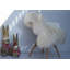 Tapis blanc / ivoire Becquets