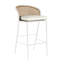 Havana 23.63 Patio Bar Stool with Cushion-43154455-43154452-43154471