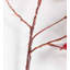Ensemble de 2 branches artificielles en érable