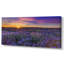 Lavender Field Sunset Landscape II - photographie sur toile-1524453224-1524453225