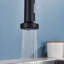Belfry Kitchen Hockensmith Pull Out Kitchen Faucet