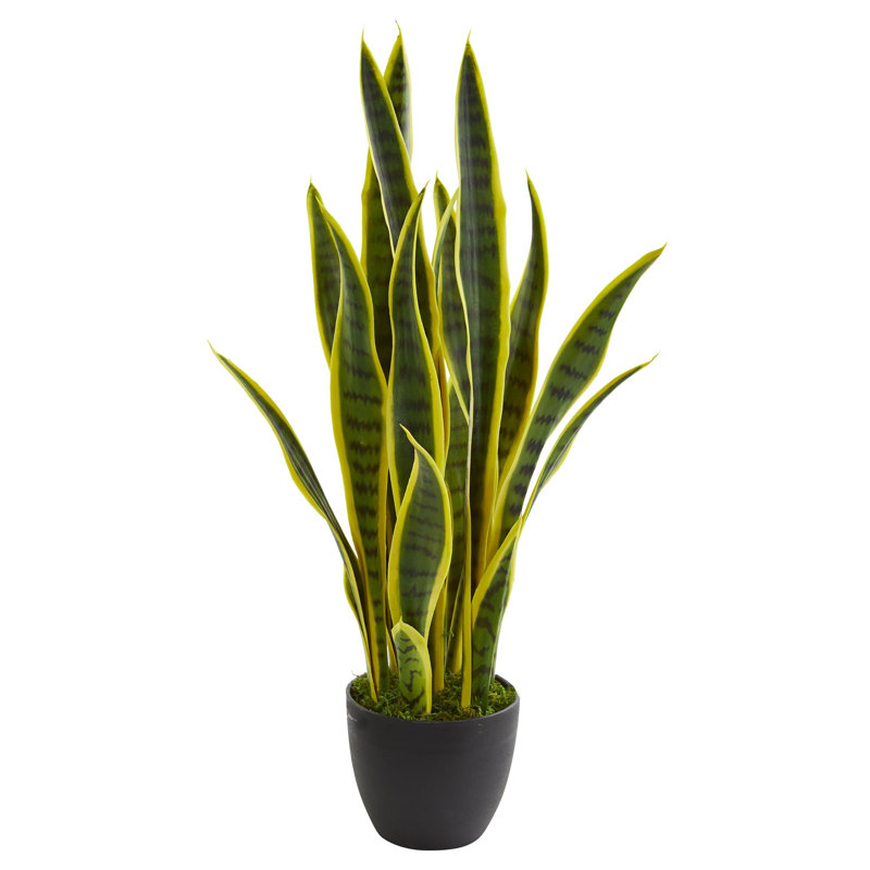 Sansevieria Artificial Plant