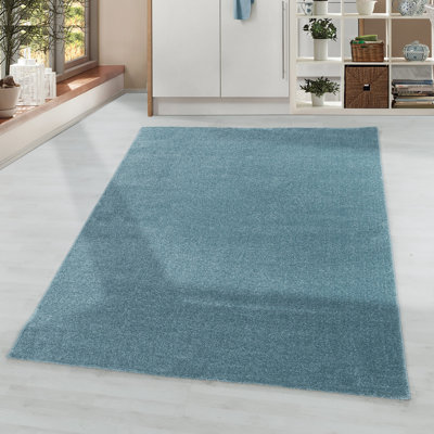 Eustache Solid Colour Flatweave Area Rug