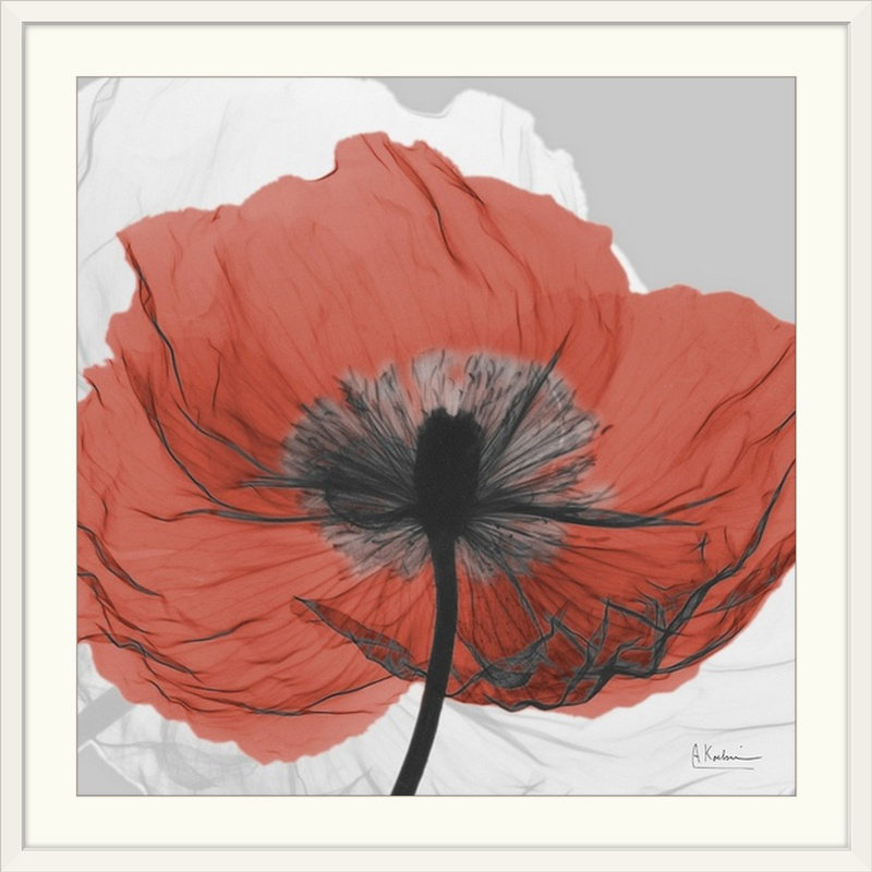 « red pilé x-ray », impression, H 32 po x l 32 po x P 1 po, Cadre blanc