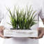 3 - Pieces Artificial Grass in Pot set