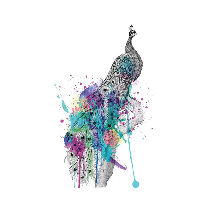 Peacock by Karin Roberts - Wrapped Canvas Print, 101.6 cm H x 66.04 cm W x 1.91 cm D
