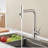 AlenArtWater Pull Down Kitchen Faucet