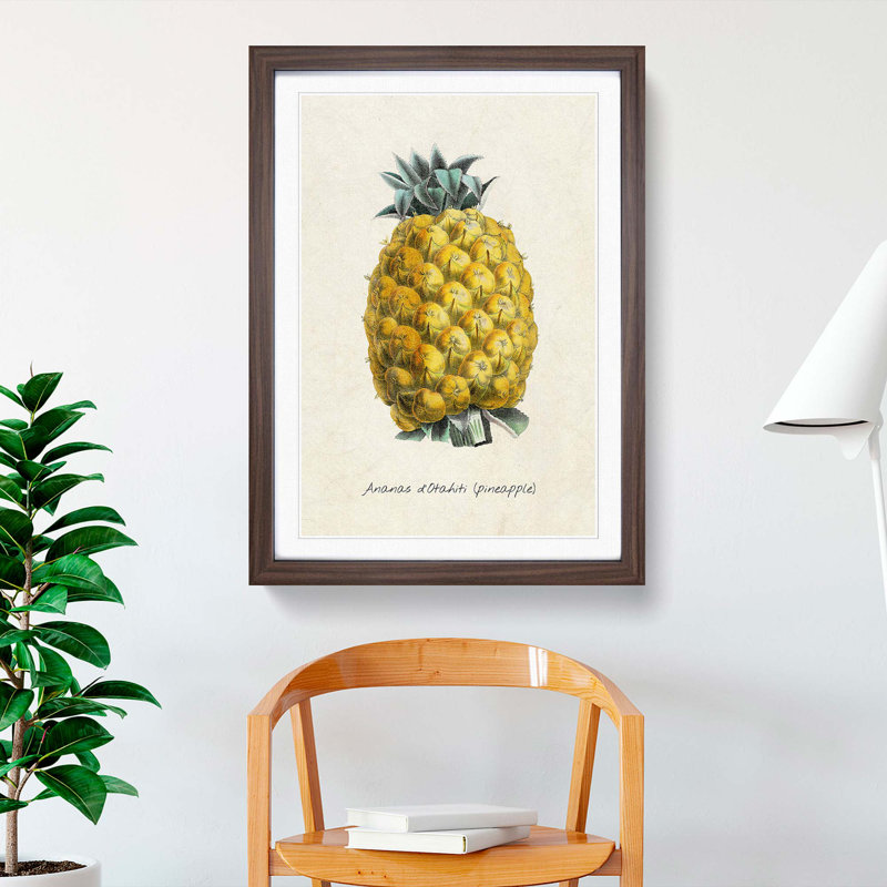 Illustration of a Pineapple - Framed Print, 36cm H x 27cm W x 2cm D, Walnut Framed