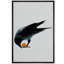 Corbeau X37-105806111-105806112