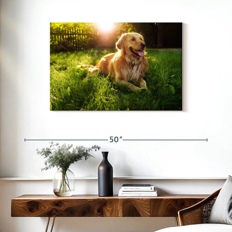 Golden retriever Brampt ensoleillé, H 24 po x l 36 po