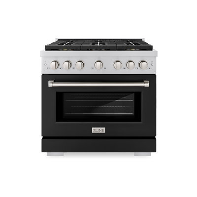 ZLINE 36 in. Paramount Dual Fuel Range with 6 Burner DuoPro Cooktop and Electric Convection Oven