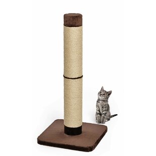 SmartyKat Playful Post Carpet Cat Scratching Post with Track Toy Base