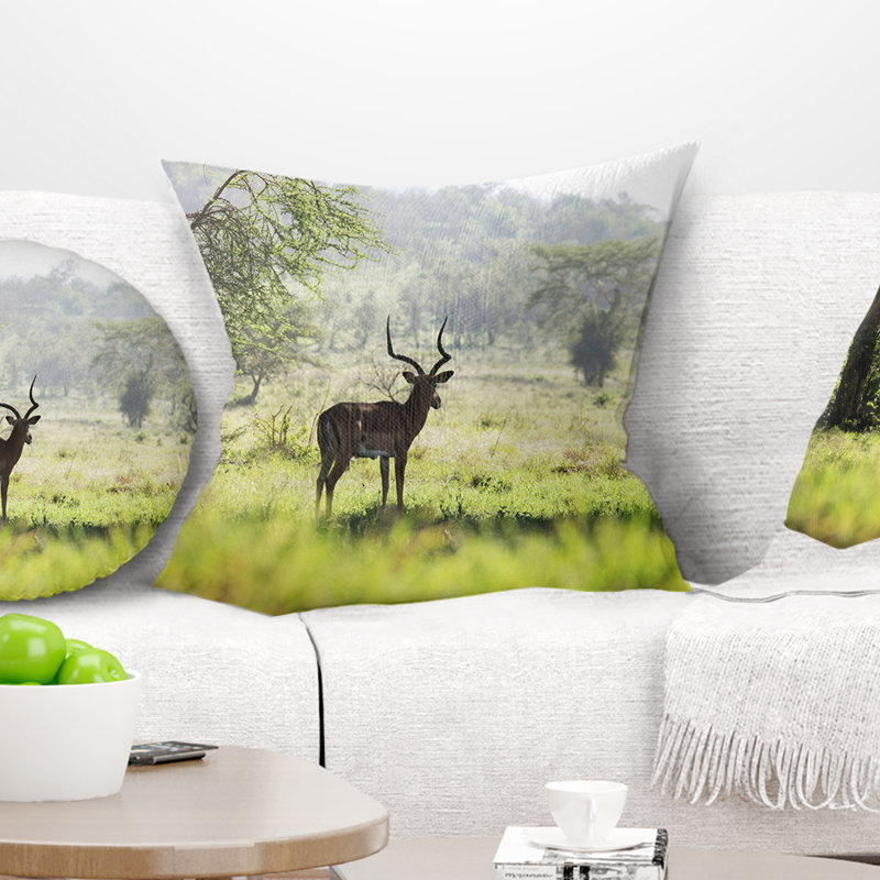 Coussin décoratif solitaire Antilope in Green Park, 16 po x 1 po, Carré