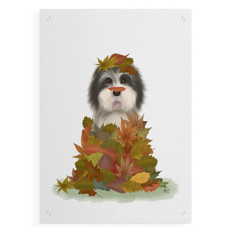 Landed in Autumn, chien noir et blanc - reproduction de toile seulement - non encadrée, H 18 po x l 12 po