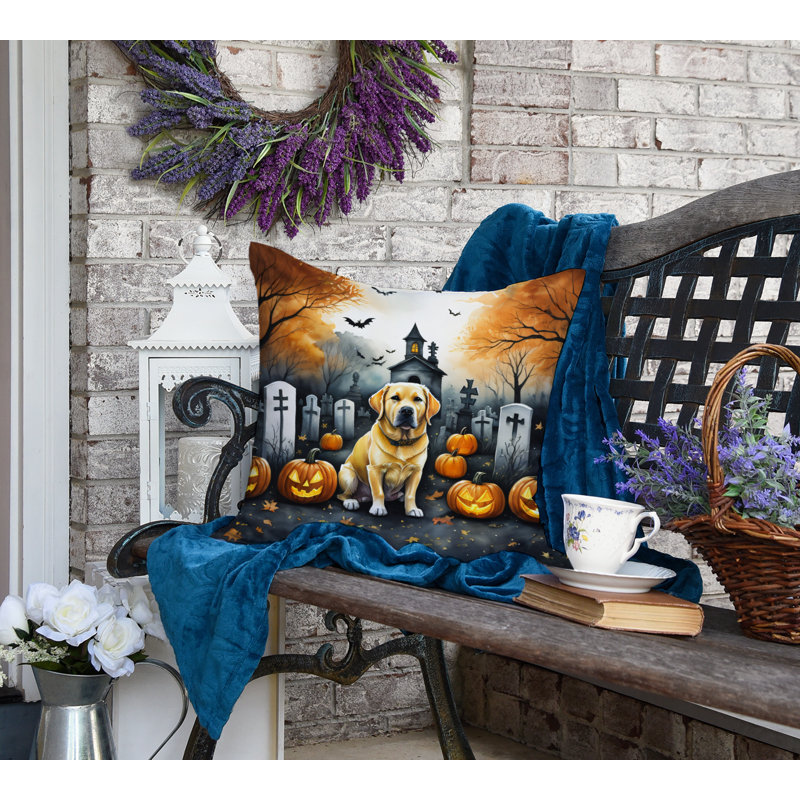 Other/No Pattern Outdoor Throw Pillow, 18" x 18"