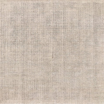Travolta Oriental Indoor Rug