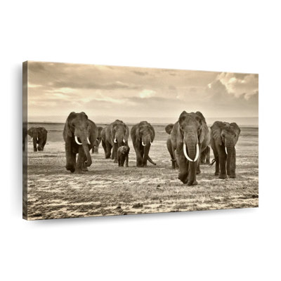 Herd Of Elephants Canvas Print