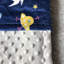 Couverture pour bébé dinosaurs minky