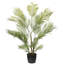 70,5 plante