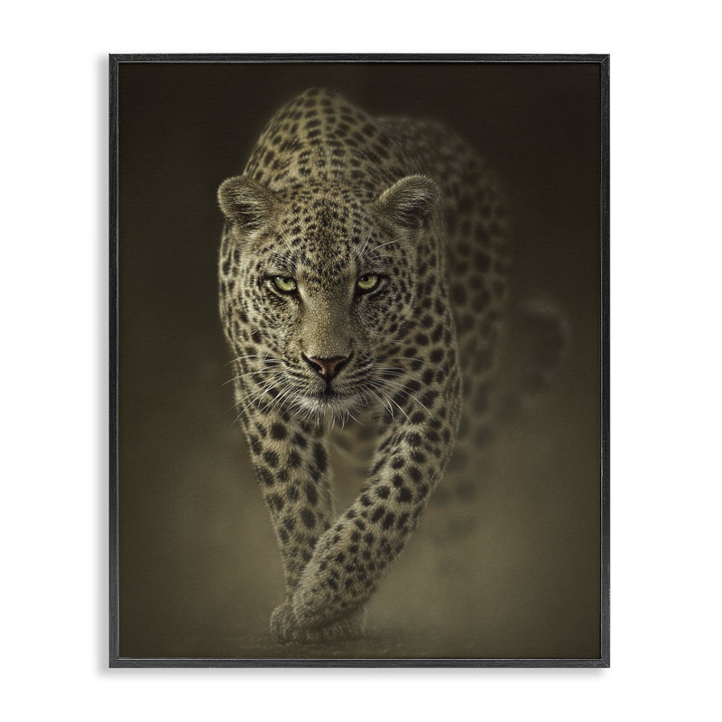 Giclée encadrée par un prédateur sauvage, conception par Collin Bogle, H 14 po x l 11 po, Giclée encadrée noir minuit