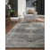 Oriental Indoor Rug