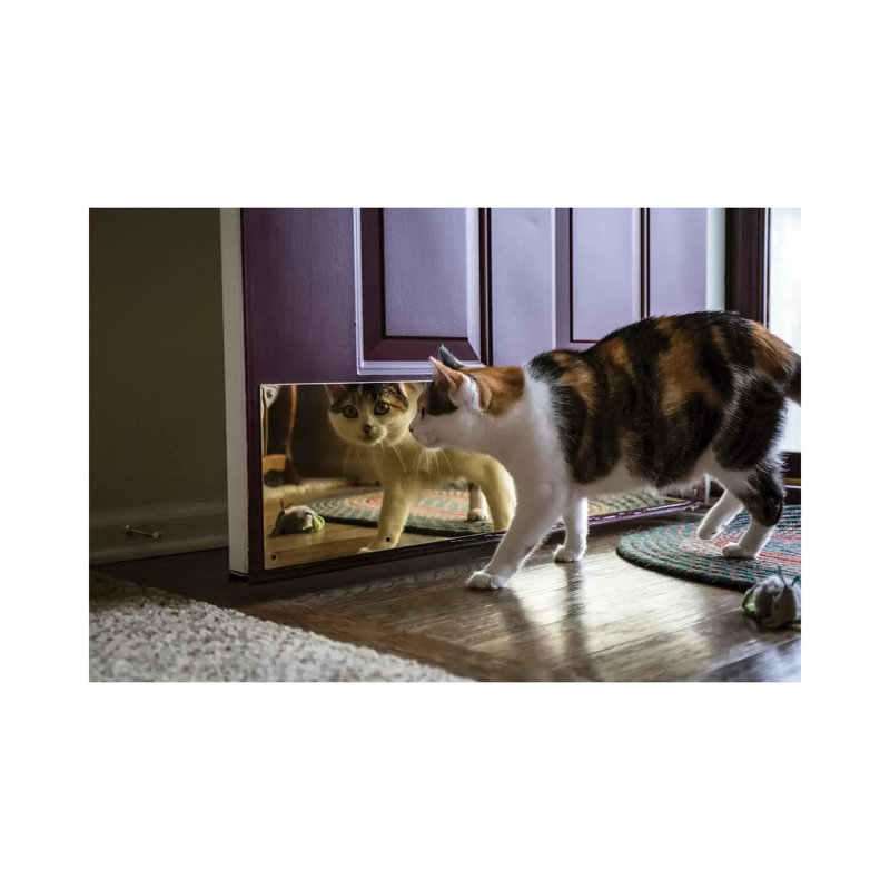 Chat calico regardant sa réflexion dans la porte par Janet Horton - photographie sur toile tendue, H 26 po x l 40 po x 1,5 po