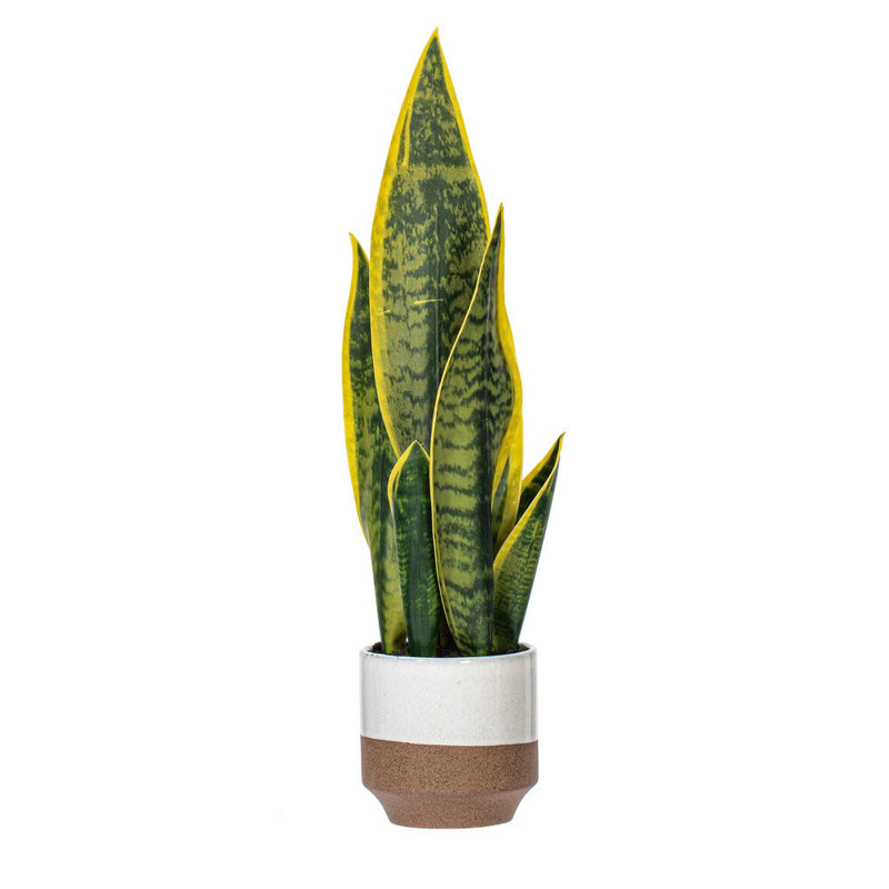Faux Snake Plant Plant in Ceramic Pot