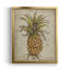 Pineapple Study II - Toile encadrée de qualité supérieure - prête à être accrochée