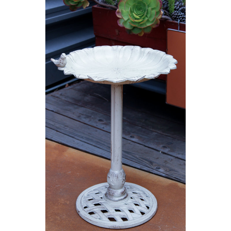 Bain d'oiseaux en fonte d'aluminium avec piédestal, Blanc cassé / blanc