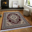 Mccants Oriental Area Rug-292979493